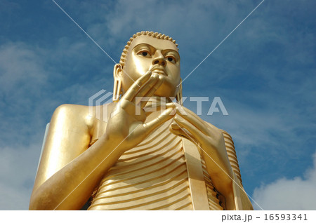 Golden Buddha at Dambulla,Sri Lanka,Asia 16593341