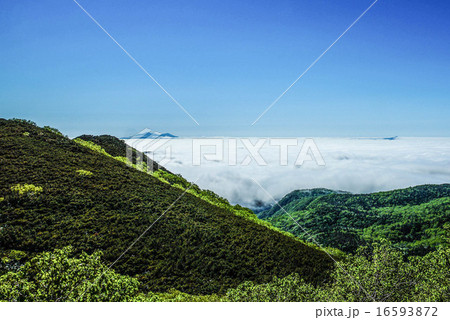 知床峠より雲海に浮かぶ国後島を望む　（斜里町ウトロ） 16593872