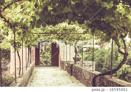 Palais de la Berbie Gardens Alley at Albi, France Palais de la Berbie Gardens Alley at Albi, France 16595001