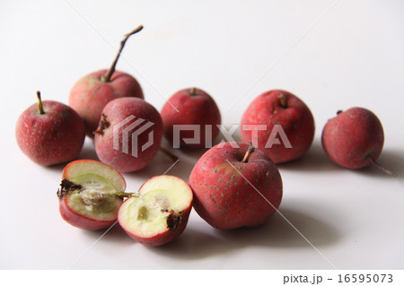 サンザシの実３ 16595073