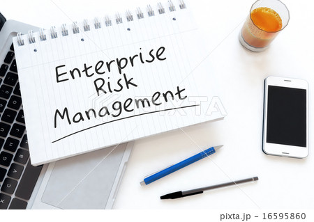 Enterprise Risk Management Enterprise Risk Management 16595860