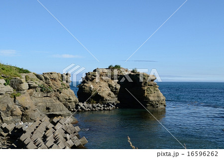 岩場の海岸 16596262