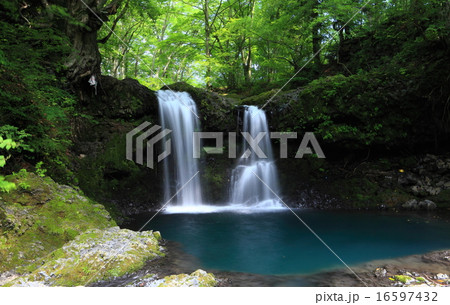 鐘山の滝 16597432