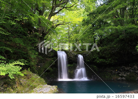 鐘山の滝 16597433