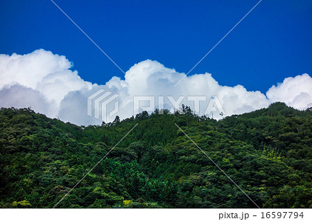 夏の雲 16597794