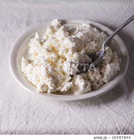 Homemade cottage cheese 16597844