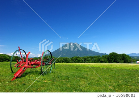 蝦夷富士 16598083