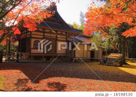 赤山禅院(京都 修学院)の紅葉 赤山禅院(京都 修学院)の紅葉 16598530