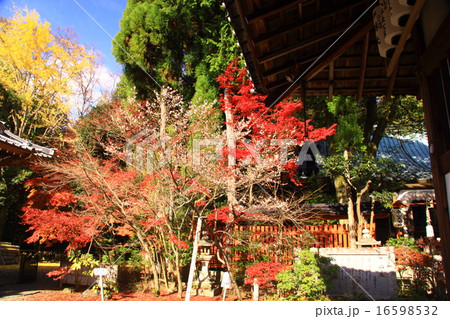 赤山禅院（京都　修学院）の紅葉 16598532