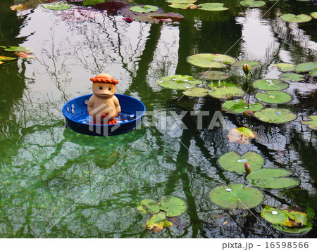 河童と蓮 16598566