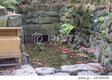 目の神様として知られる清水社のお清水（愛知県名古屋市） 16599046