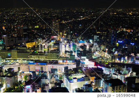 池袋の夜景 16599048