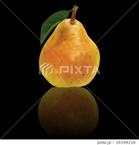 vector pear isolated on black background 16599216