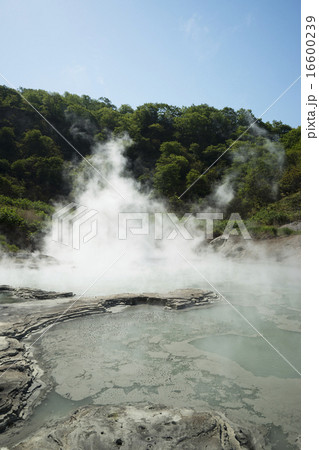 大湯沼 北海道 登別 大湯沼 北海道 登別 16600239