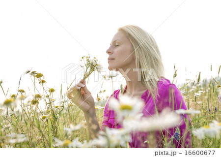 Photo of pretty blonde woman on a field Photo of pretty blonde woman on a field 16600677