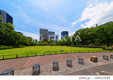 青空が広がる日比谷公園と周囲の高層ビル群 16601689