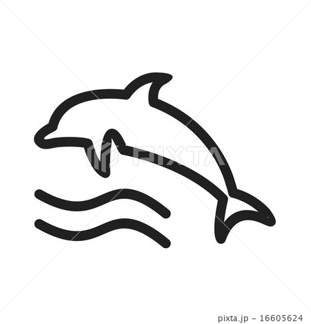 Dolphin 16605624