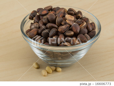 Cedar nut Cedar nut 16606773