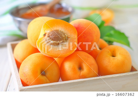 fresh apricots and gam 16607362