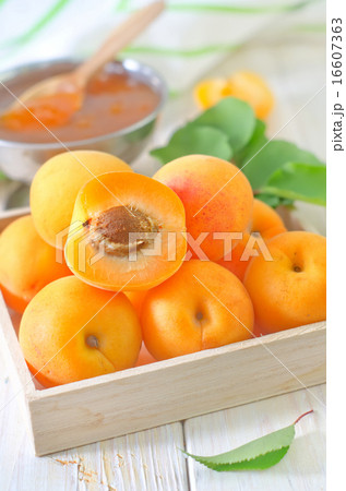 fresh apricots and gam fresh apricots and gam 16607363
