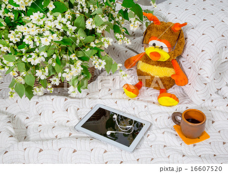 morning. jasmine flowers and toys morning. jasmine flowers and toys 16607520