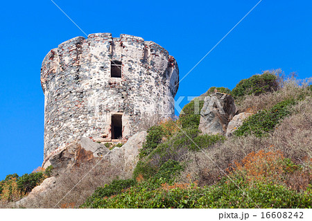 Tour Parata. Ancient Genoese tower, Corsica 16608242