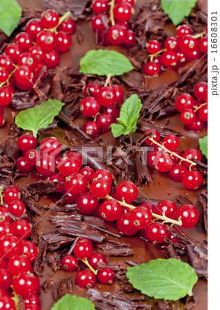 red currant and mint with chocolate red currant and mint with chocolate 16608301