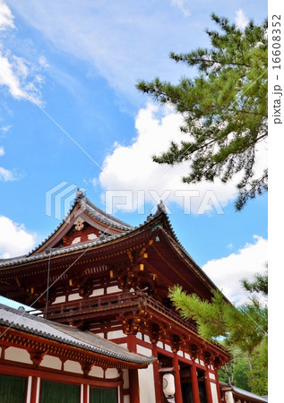 東大寺 境内の風景 東大寺 境内の風景 16608352