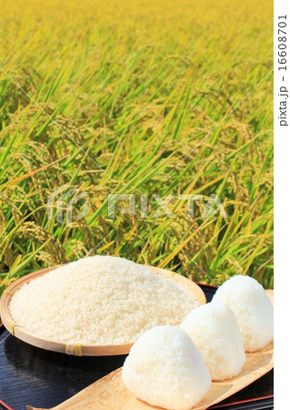 秋の豊作 16608701