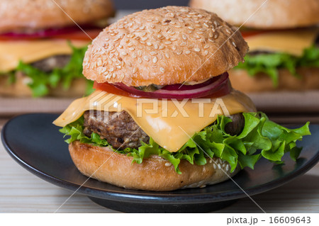 Closeup of classic burger 16609643
