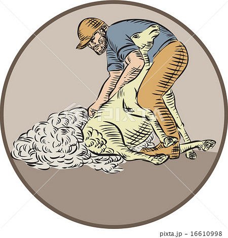 Farmworker Shearing Sheep Circle Etching Farmworker Shearing Sheep Circle Etching 16610998