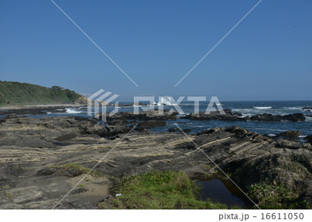 城ヶ島の島外海岸と馬の背洞門 16611050