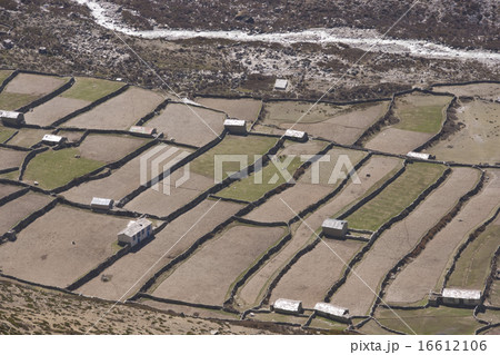 High Altitude Farming 16612106