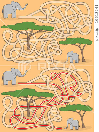 Elephant maze Elephant maze 16612241