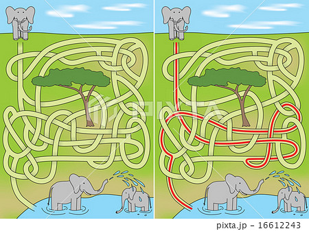 Elephant maze Elephant maze 16612243