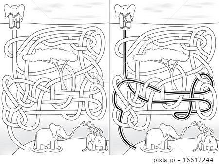 Elephant maze Elephant maze 16612244