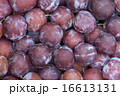 Plums 16613131