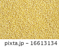 Millet 16613134