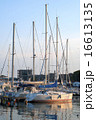 Sailing yachts at harbor 16613135