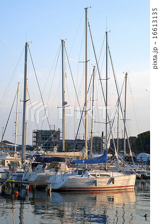 Sailing yachts at harbor 16613135