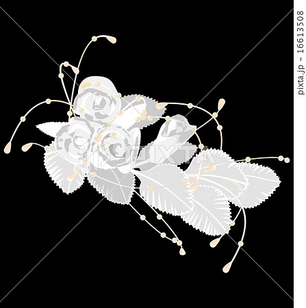 White roses isolated on black 16613508