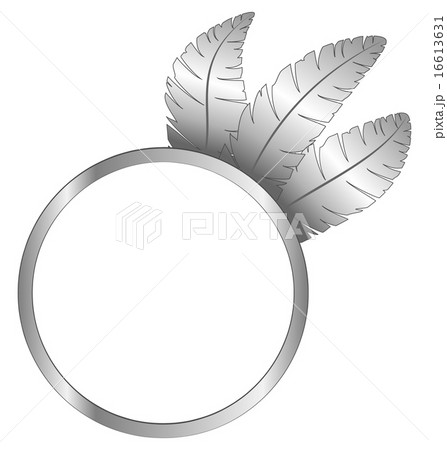 Gray frame ring with feathers 16613631