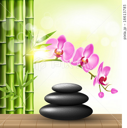 Spa stones with pink orchid and bamboo and sunligh 16613785