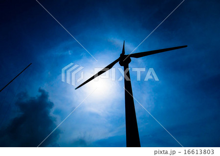 風車 16613803