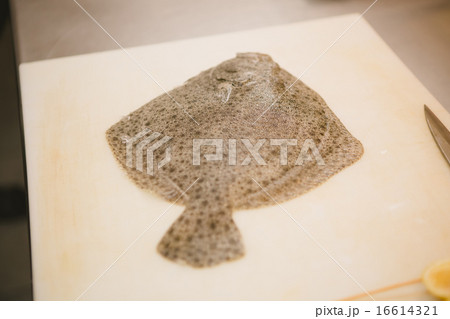 Flounder raw fish 16614321