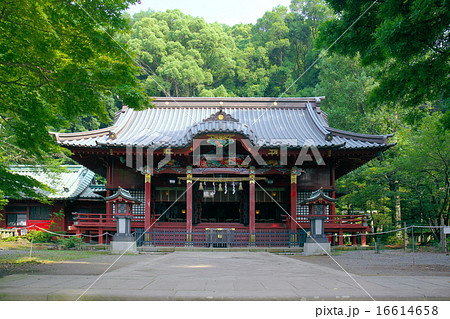 伊豆山神社本殿 16614658