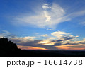 九十九里沖の朝焼けの雲の上で羽ばたく大白鳥 16614738
