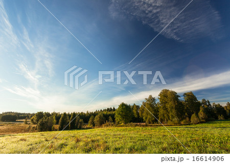 Tranquil grassland at sunrise 16614906