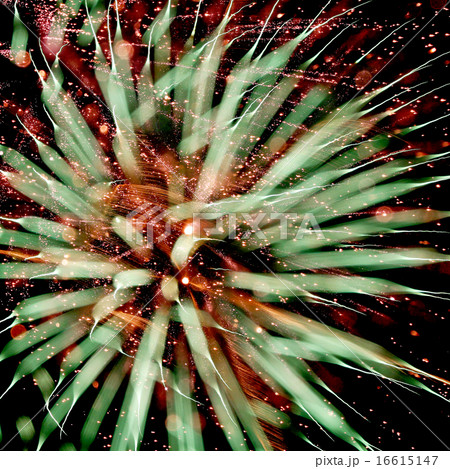 おもしろ花火写真128 おもしろ花火写真128 16615147
