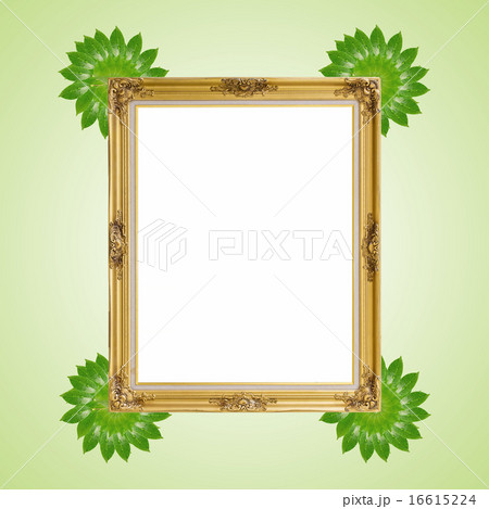 Gold louise and leaves photo frame isolated  16615224